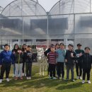 하양초교화성분교 이미지