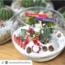 칠보청소년문화의집 다목적강당 이미지