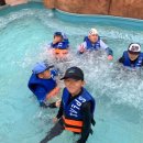 국가대표 태비태권도 이미지