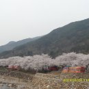 하동 이미지