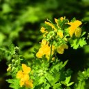 자연나라 이미지