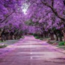 하안중학교 이미지