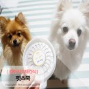 펫츠쿡 | 강아지수제간식 자연식 3종 급여 후기 펫츠쿡