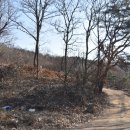 이성중묘 이미지