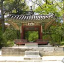 () 서울 도심의 꿀명소, 창덕궁 후원 나들이 ＜관람지, 존덕정, 취규정, 태극정, 옥류천, 소요암＞ 이미지