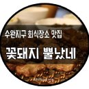 꽃돼지갈매기 이미지