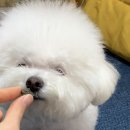 유일청정생고기 이미지
