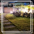 평평스테이 이미지