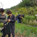 새자리농원 이미지