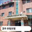 유림여관 이미지