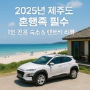 좋은이웃펜션 | 🏝️ 2025년 제주도 혼행족 필수, 1인 전용 숙소&amp;렌트카 리뷰 총정리!