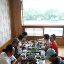 봉산면011 Daum카페