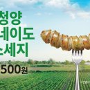 소세지야 베이비뉴스