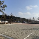 신두리 | [충남/태안] 서해 가볼만한곳 <태안 신두리 해안사구> 솔직후기