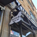 젤리즈펫 이미지