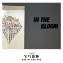 인더블룸 이미지