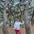 안강 흥덕왕릉(2607) 이미지