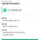 시글루