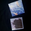 더블유투(W2) | from-w2 프롬더블유투 돌연변이 장미 케이스 후기