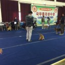 승리다방 이미지