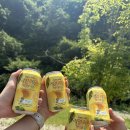 홍천 반딧불 캠핑장 다녀온 후기🏕️