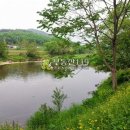 조현리 조현길 이미지