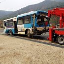 양평특수견 네이버블로그