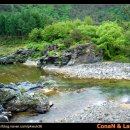 자개골캠핑장 이미지