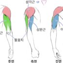 jkj 헬스 이미지