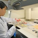 순천향대학교부속 천안병원 이미지