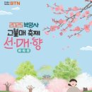 비티엔투어 이미지