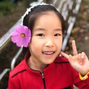 프랑스자수(주간) | [베이킹] 영주시 평생 학습센터 주말 가족 베이킹반/고구마 쿠키
