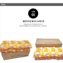 웰빙박스 Daum카페