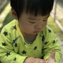 유영농장 이미지