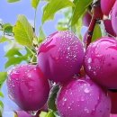 마음을 다스리는 좋은 글 이미지