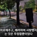 펫로스 이야기 [메아리 없는 사랑] 이미지