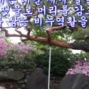그림이있는정원 이미지