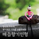 전통매듭의 향기 이미지