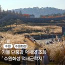 경기도 수원시 장안구 경수대로908번길 | 가을 여행지 추천 수원화성, 억새 군락지와 즐기는 산책 코스 상세후기