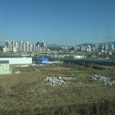 오남호수공원(음악분수)[오남-3] | ① 오남호수공원, 팔현리- ( 2026.01.05 )