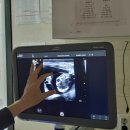 래플즈 동물병원 이미지