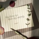 딥펜 캘리그라피 이미지