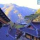 봉화 Daum카페