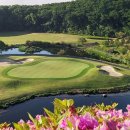 렉스사우나 이미지