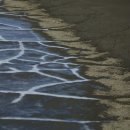 갯벌이야기 이미지