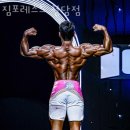 짐포레스트 이미지