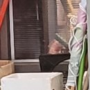 구구구통닭