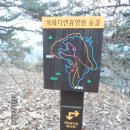 [백두]금단단맥제2-2구간종주-옥화봉(청주, 보은) - 옥화자연휴양림을 끼고 도는 성긴 산길 송이길 이미지