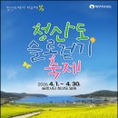 1154 Daum카페