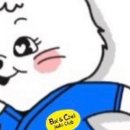 바이앤초이(B&C)유도 이미지